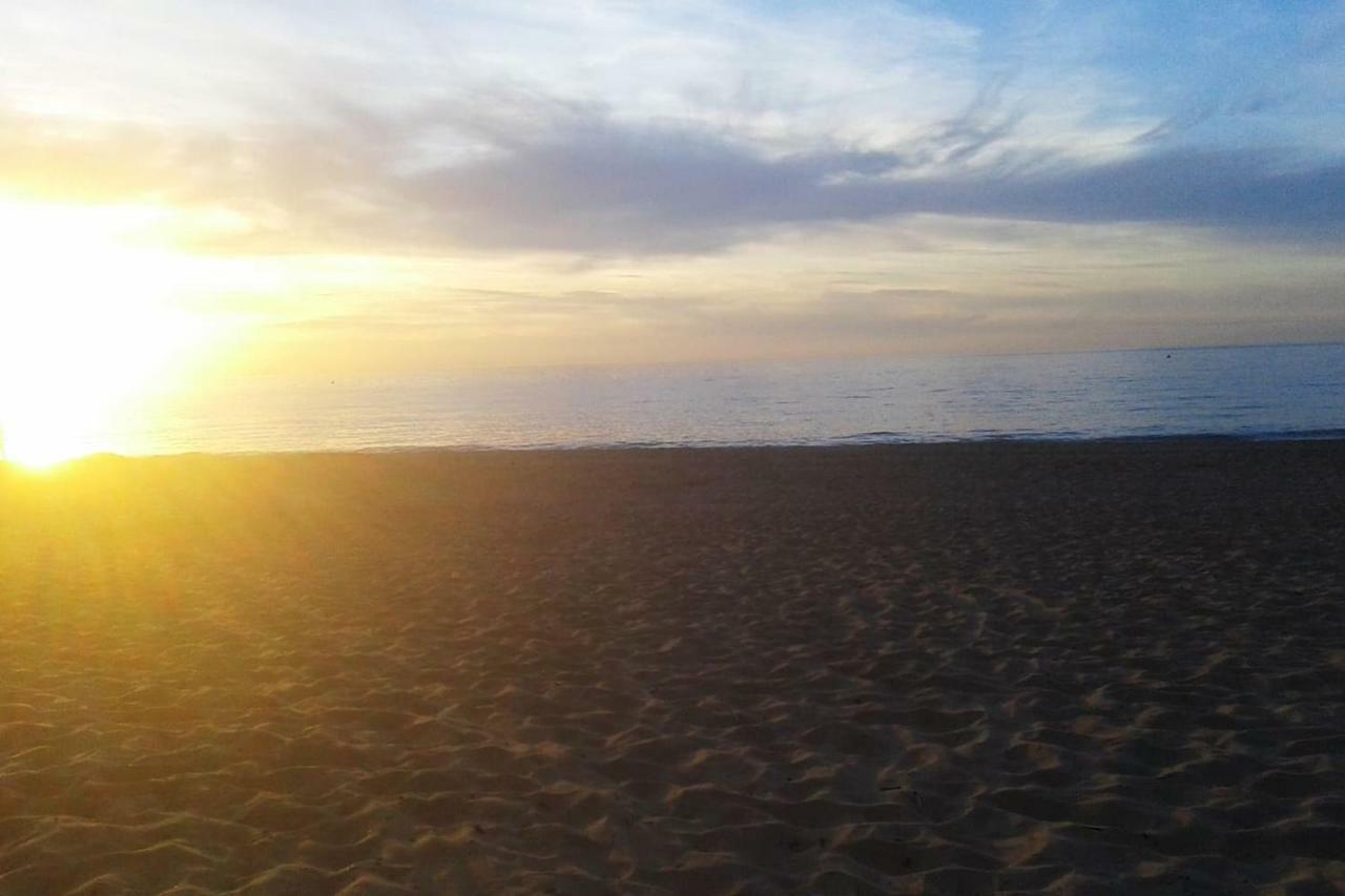 Charmant 2 Pieces A 500 M Des Plages Et Du Centre Daire Cabourg Dış mekan fotoğraf